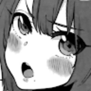 Meet your Posher, Psychotictortilla